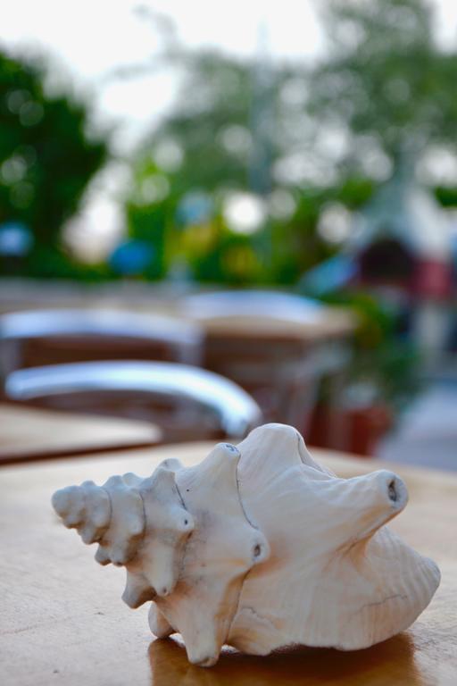 Il Giardino Stellato Bed & Breakfast