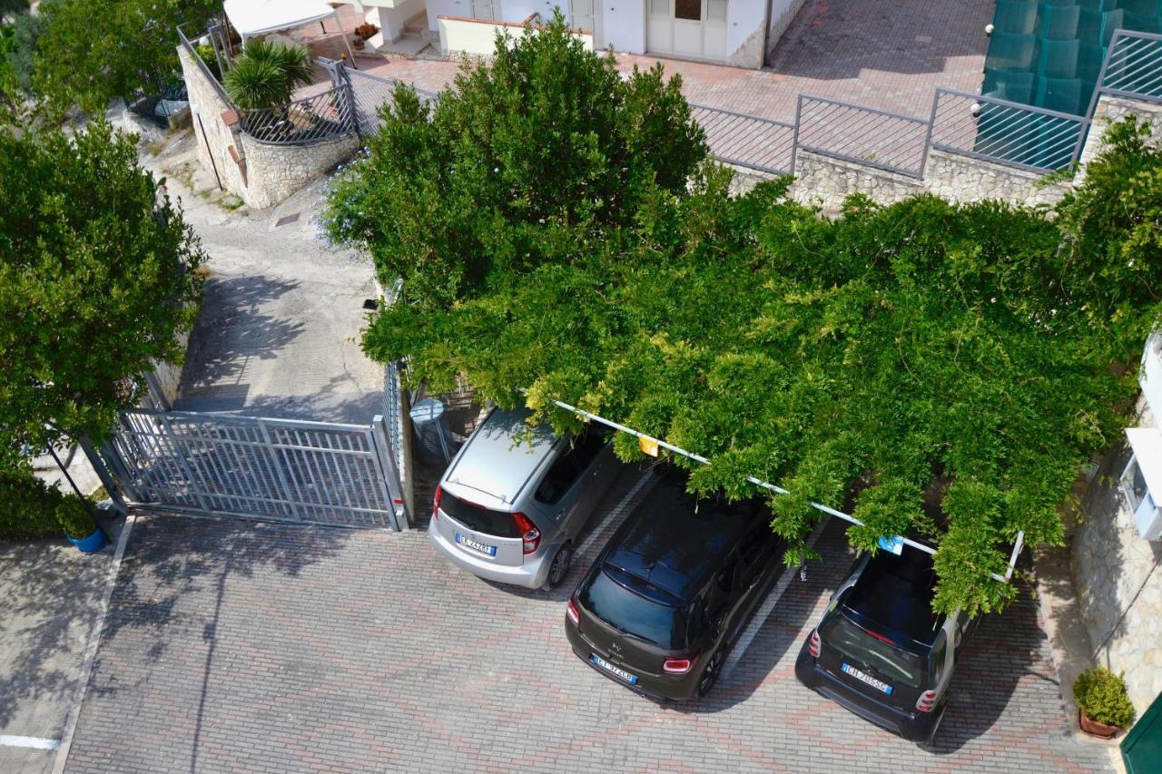 Bed & Breakfast Il Giardino Stellato